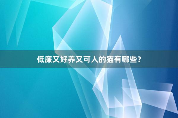 低廉又好养又可人的猫有哪些？